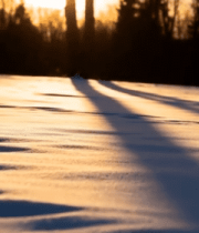 雪地森林日落景象12708#横屏 