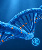 渲染分子结构2325#横屏 