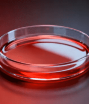 红色液体培养皿实验素材5031#横屏 