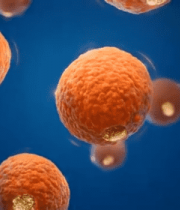 渲染细胞微观素材4159#横屏 