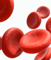 渲染红细胞微观画面10530#横屏 