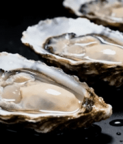 新鲜生蚝特写4859#横屏 