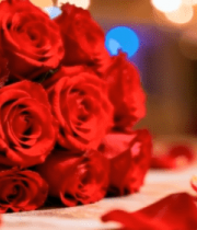 红玫瑰花束特写3829#横屏 