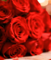 红玫瑰花束特写3829#横屏 