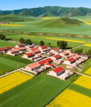 航拍乡村油菜花田与民居2054#横屏 