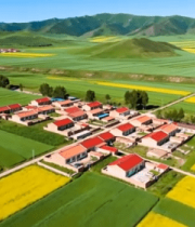 航拍乡村油菜花田与民居2054#横屏 