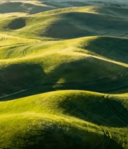 航拍起伏绿色田野风光12664#横屏 