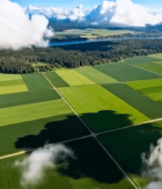 航拍绿色农田与森林景观3091#横屏 