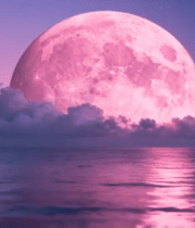 海面粉色满月星空夜景2741#横屏 