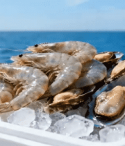 海面上的海鲜冰块特写8426#横屏 