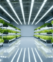 现代化温室大棚蔬菜种植场景(2)8523#横屏 