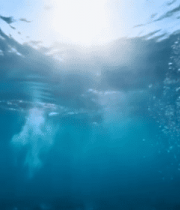 海底阳光透过海水画面8481#横屏 