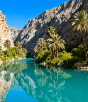 峡谷间河流与棕榈树景观1866#横屏 