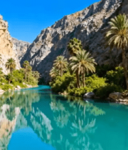 峡谷间河流与棕榈树景观1866#横屏 