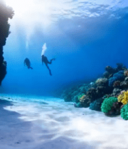 	 海底潜水员与多彩珊瑚景观495#横屏 