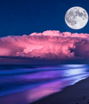 海边月夜景色5286#横屏 