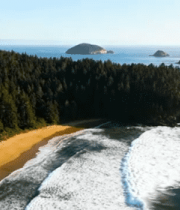 海岸森林沙滩鸟瞰全景7492#横屏 