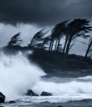 海边狂风中翻涌的海浪1556#横屏 