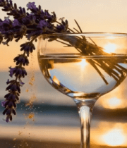 海边酒杯插薰衣草特写885#横屏 