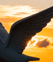 夕阳下展翅的鸽子雕塑8445#横屏 