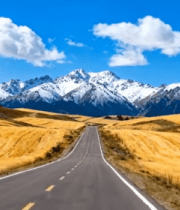 公路旁金黄田野与雪山风景504#横屏 