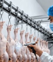 工人检测悬挂肉鸡素材5790#横屏 