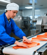 工人在工厂处理三文鱼1071#横屏 