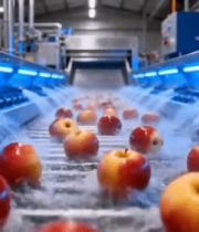 工厂苹果流水线清洗画面8913#横屏 