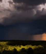 乌云笼罩下的森林自然风光6990#横屏 