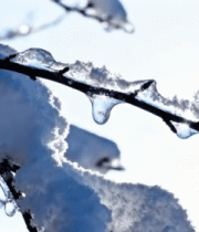 覆雪树枝与冰柱特写4628#横屏 