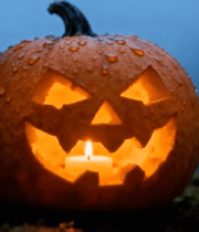 万圣节南瓜灯与蝙蝠特写14999#横屏 