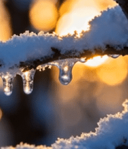 覆雪树枝挂冰柱日出景象5690#横屏 