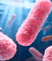 微观细菌渲染素材(1)8009#横屏 