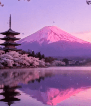 富士山下樱花古塔湖景风光14125#横屏 