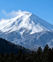 富士山雪景森林全景14013#横屏 