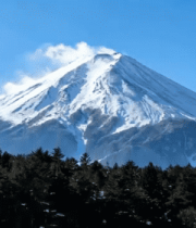 	 富士山雪景森林自然风光3447#横屏 