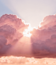 天空中粉色云朵与飞鸟景象13804#横屏 