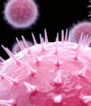 	 粉色病毒微观展示1645#横屏 