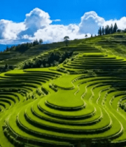 梯田自然风光全景(1)4390#横屏 