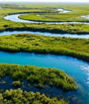 俯瞰蜿蜒河流与绿色湿地12799#横屏 