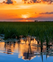 田野夕阳倒影风景9668#横屏 