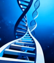 分子渲染素材9022#横屏 