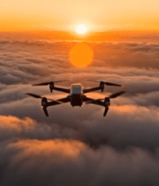 特写红白相间花卉8555#横屏 