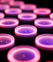 发光圆形元素排列素材12404#横屏 