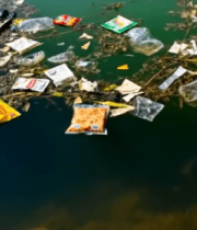 水域漂浮垃圾景象1452#横屏 