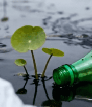 水域中漂浮的塑料瓶和塑料袋12891#横屏 