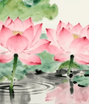 水墨风格荷花荷叶画面8211#横屏 