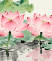 水墨风格荷花荷叶画面8211#横屏 