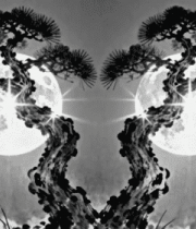 水墨风格松月图3400#横屏 