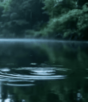 水面涟漪特写素材3112#横屏 